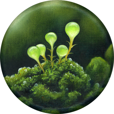 Annette von der Bey, 222, 2025, 10 cm, Öl auf Leinen