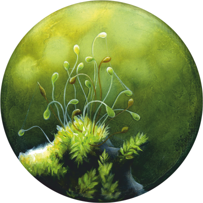 Annette von der Bey, 234, 2025, 10 cm, Öl auf Leinen